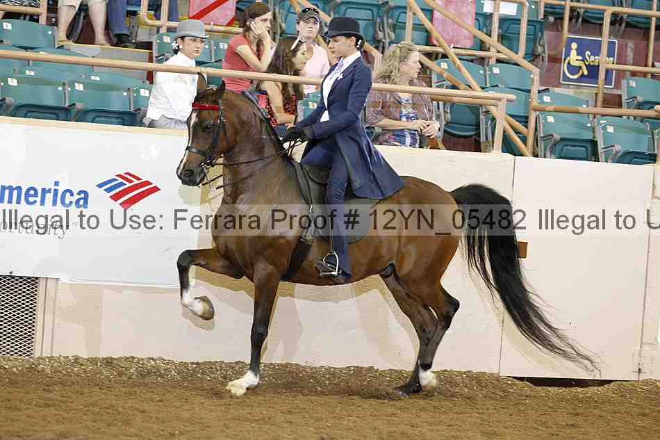 Proof 12yn_05482