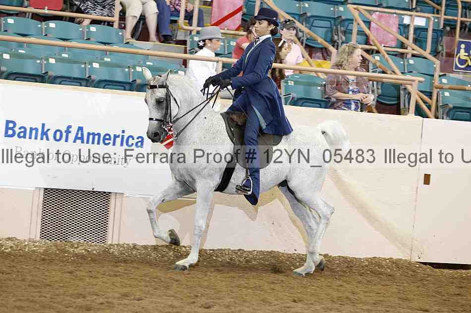 Proof 12yn_05483
