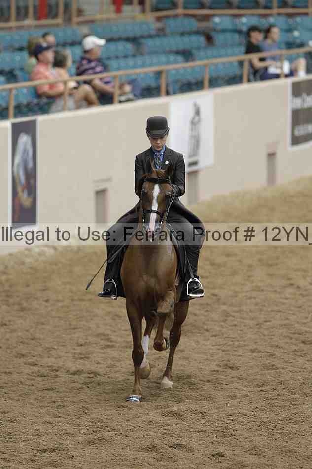 Proof 12yn_05484