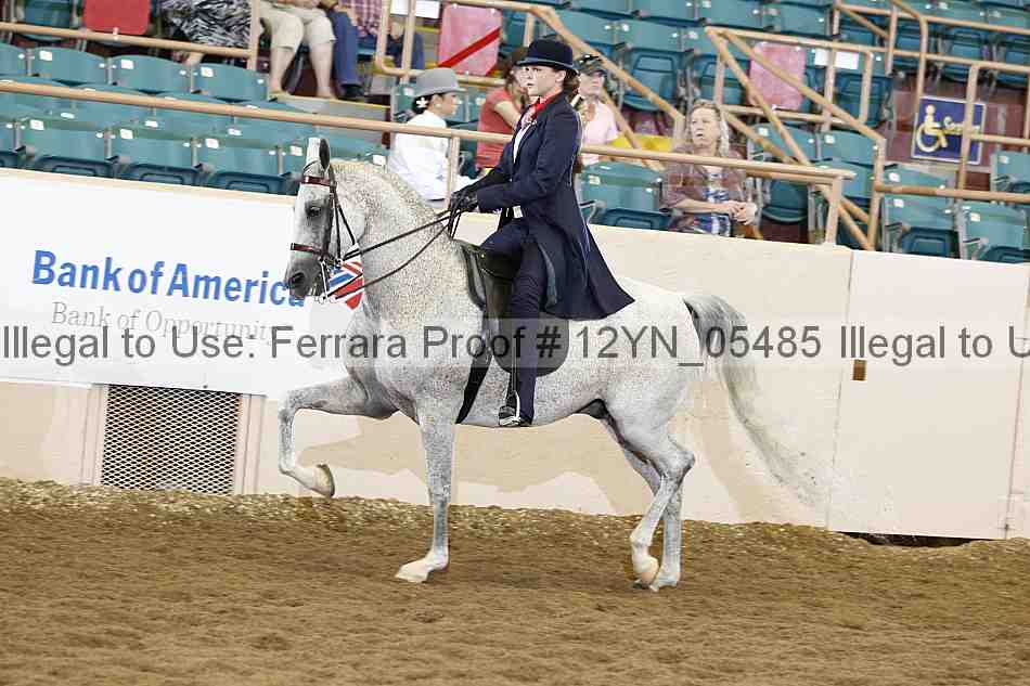Proof 12yn_05485