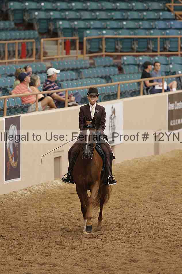 Proof 12yn_05486