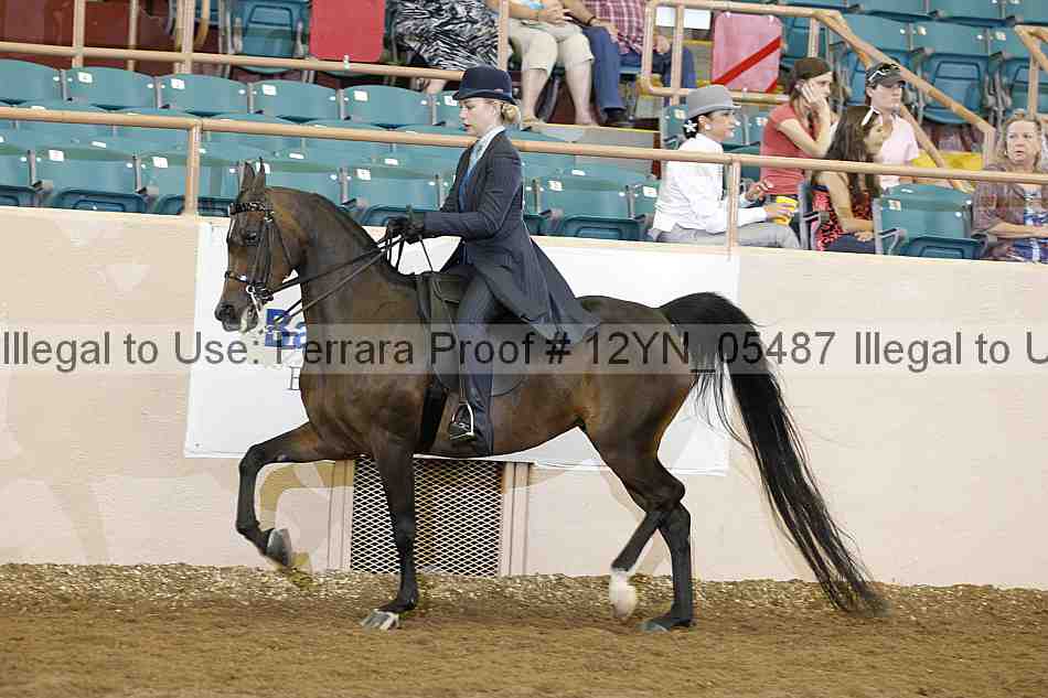 Proof 12yn_05487