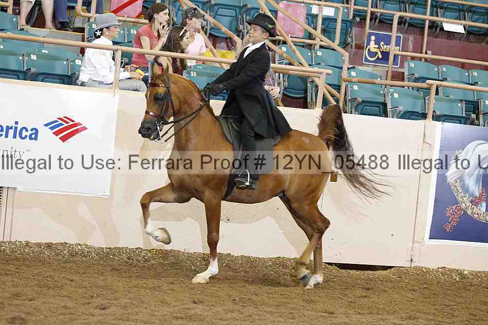 Proof 12yn_05488