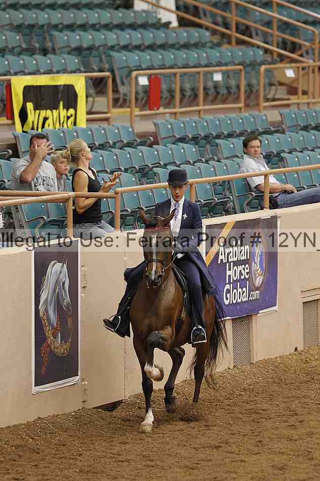 Proof 12yn_05489