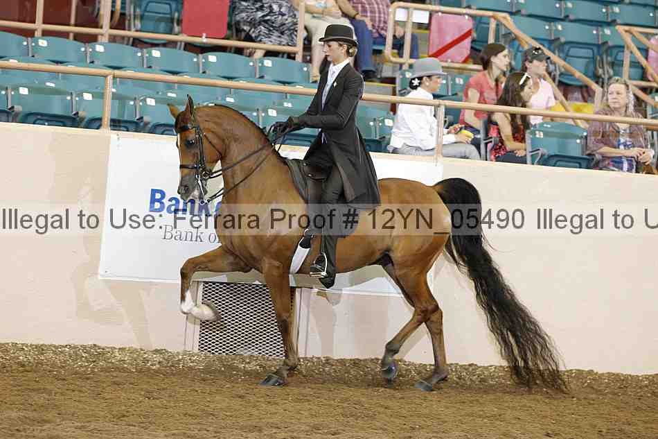 Proof 12yn_05490