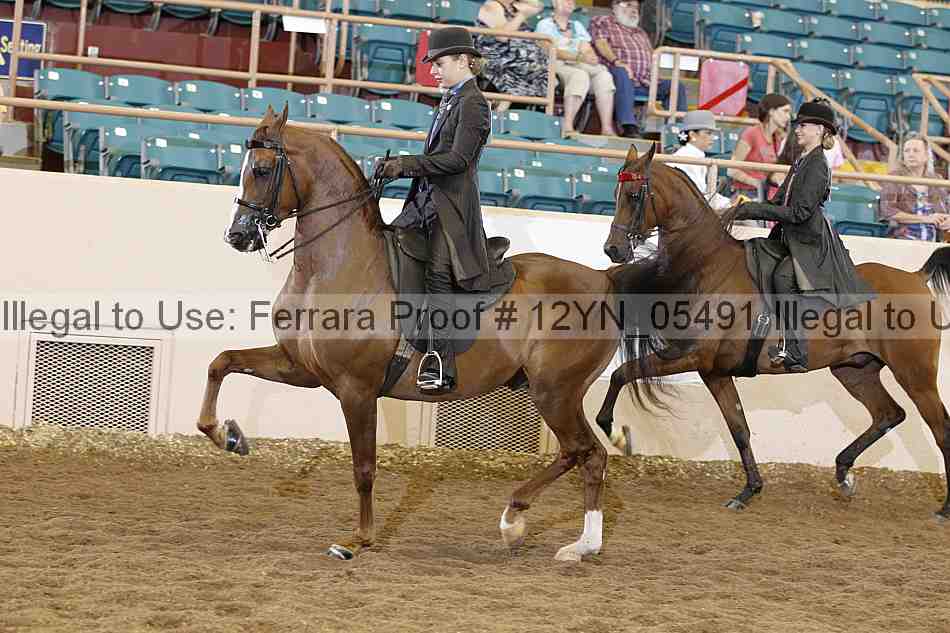 Proof 12yn_05491
