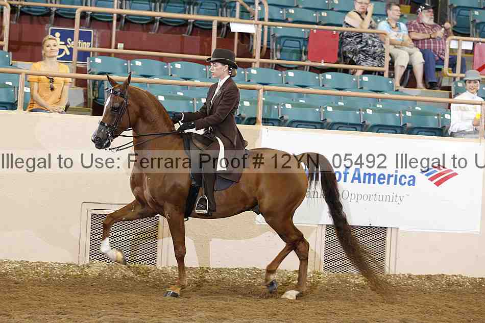 Proof 12yn_05492
