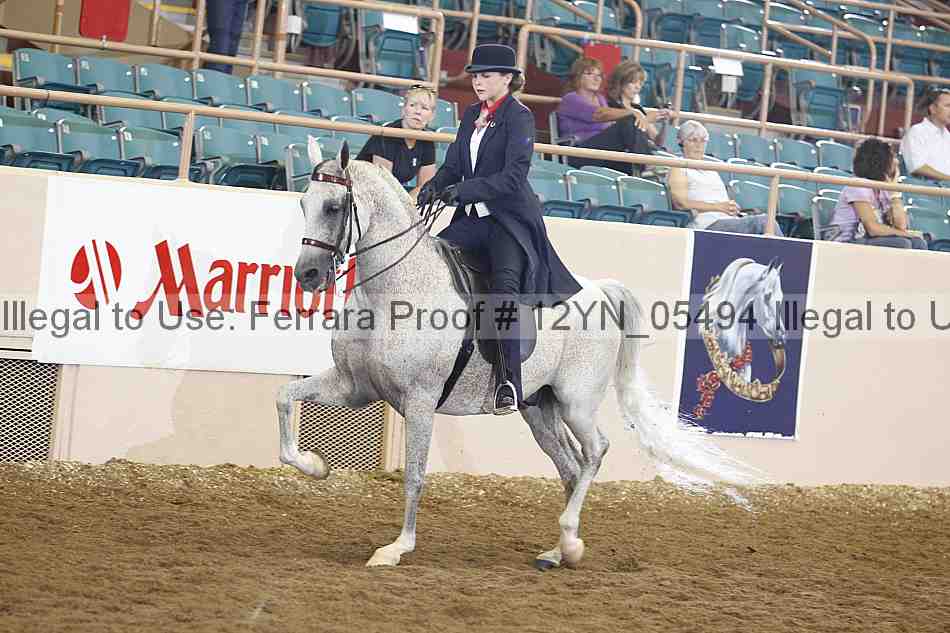 Proof 12yn_05494