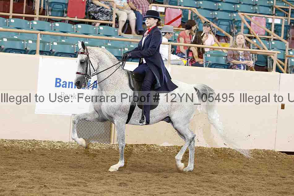 Proof 12yn_05495