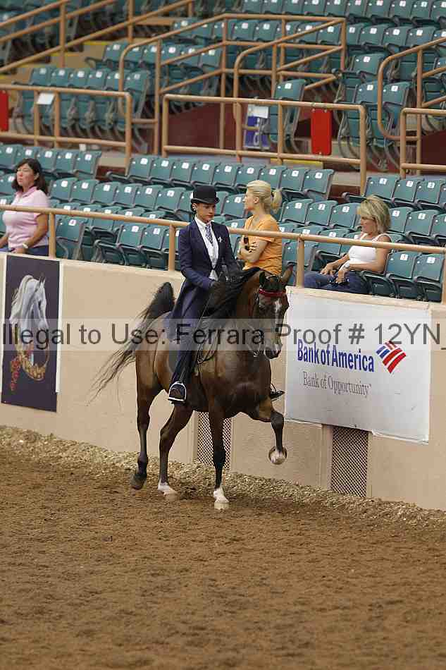 Proof 12yn_05498