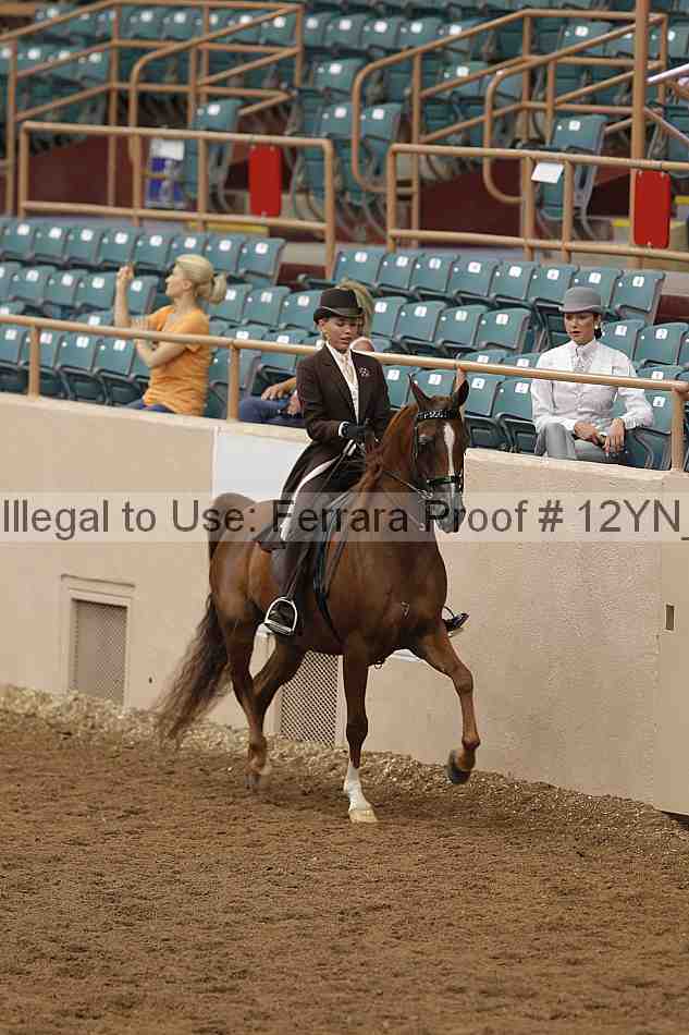 Proof 12yn_05499