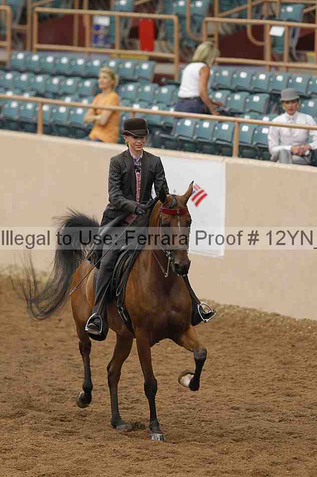Proof 12yn_05501