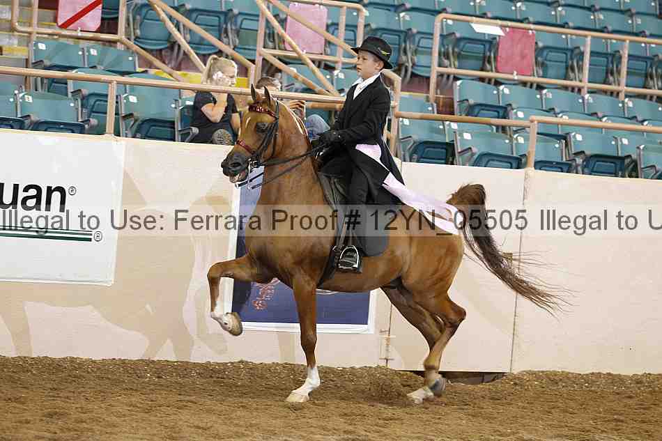 Proof 12yn_05505
