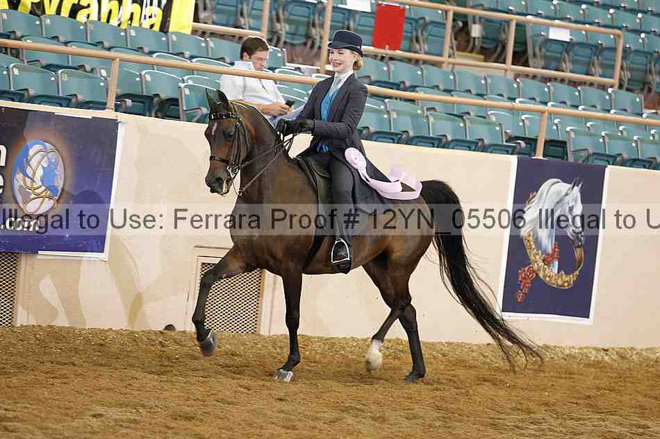 Proof 12yn_05506