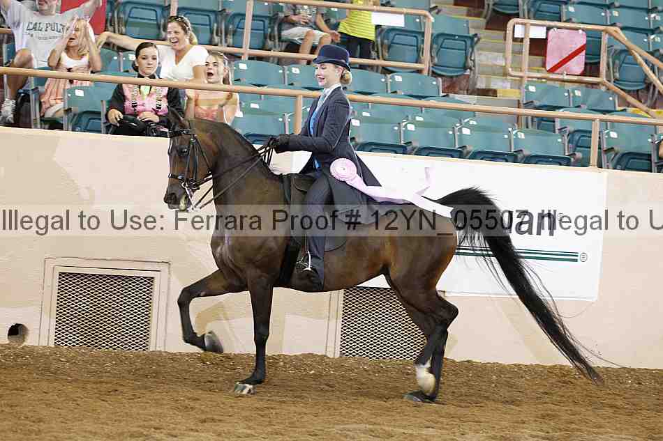 Proof 12yn_05507