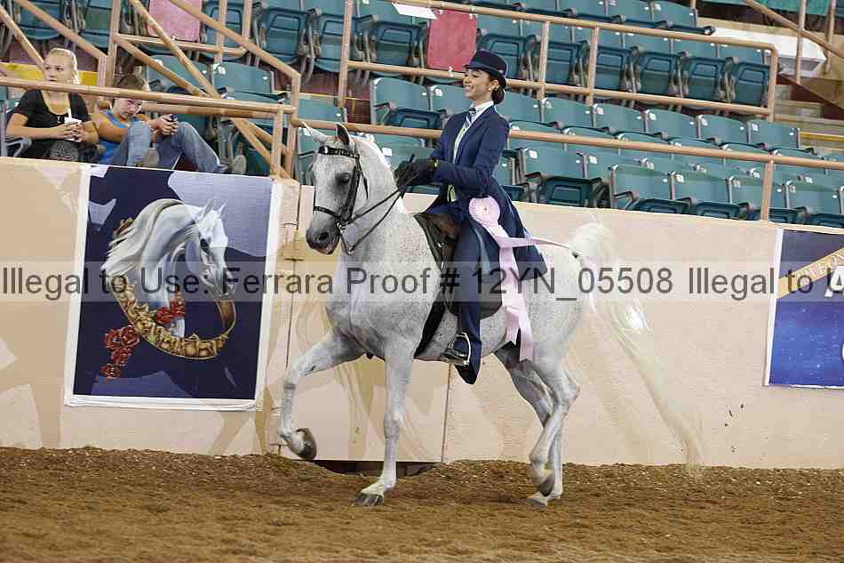 Proof 12yn_05508