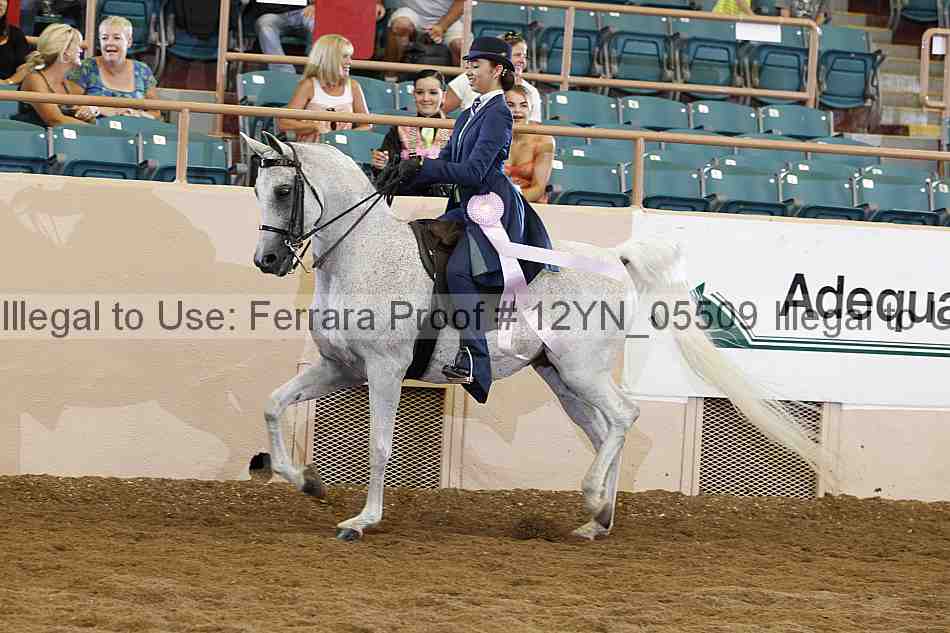 Proof 12yn_05509