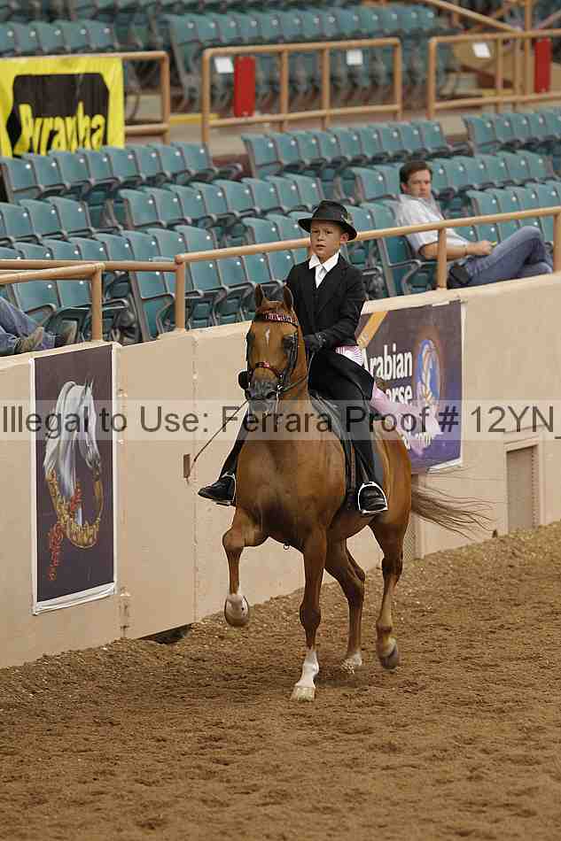 Proof 12yn_05510