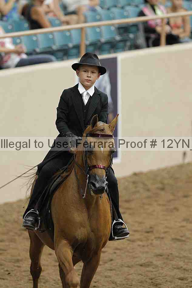 Proof 12yn_05511