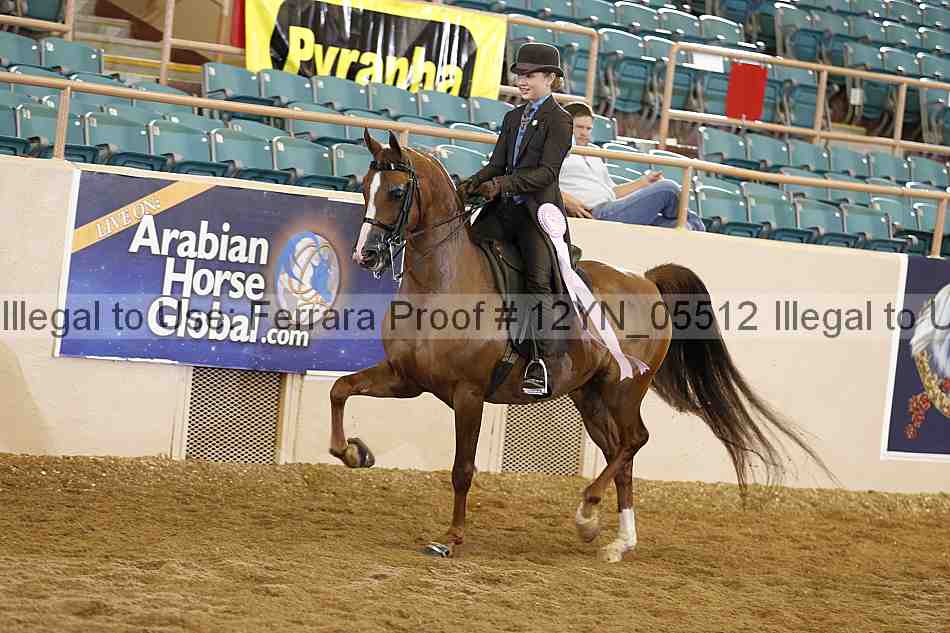 Proof 12yn_05512