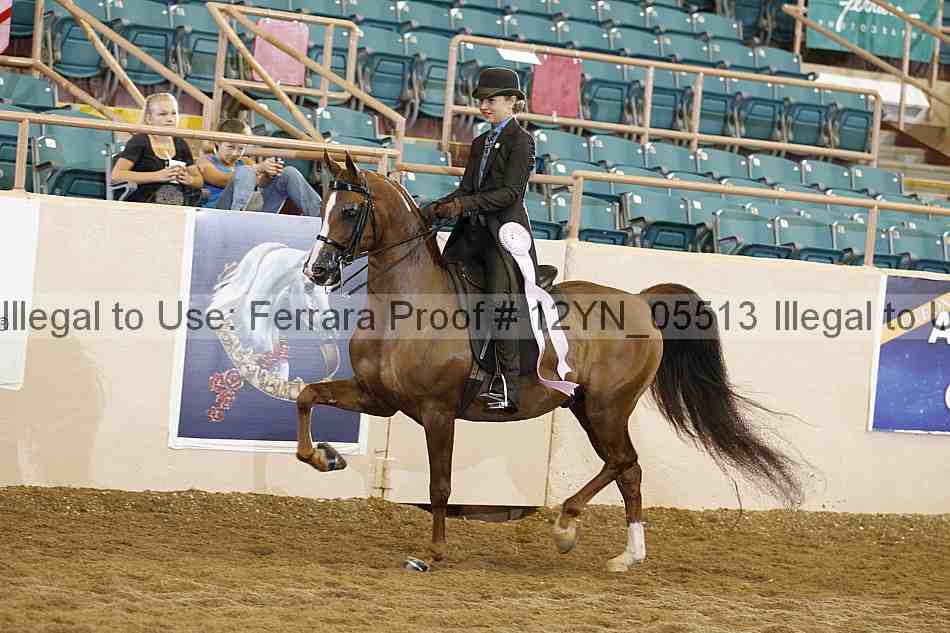 Proof 12yn_05513