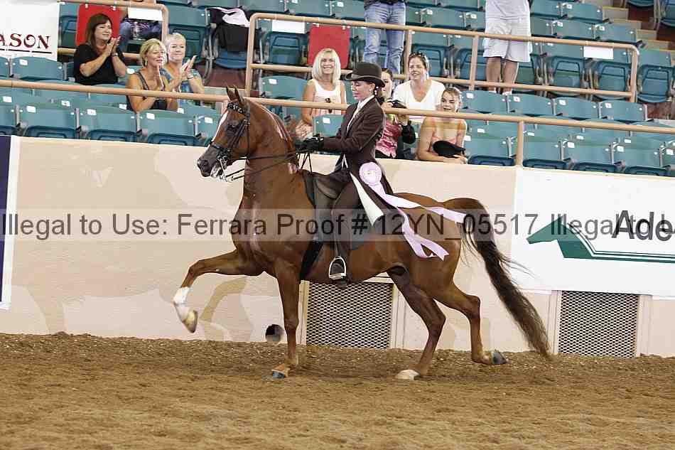 Proof 12yn_05517
