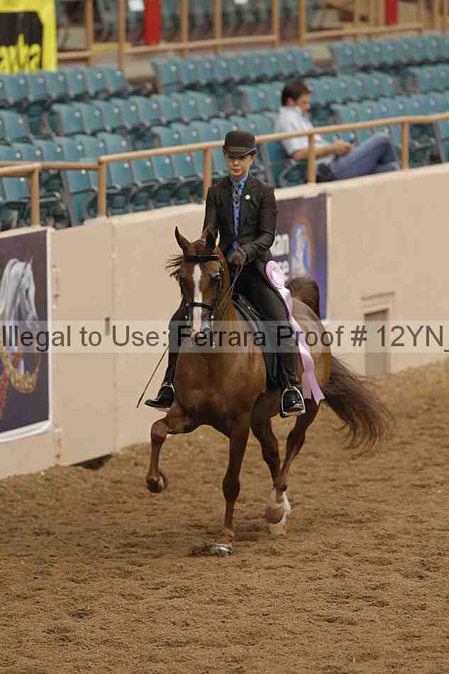 Proof 12yn_05520