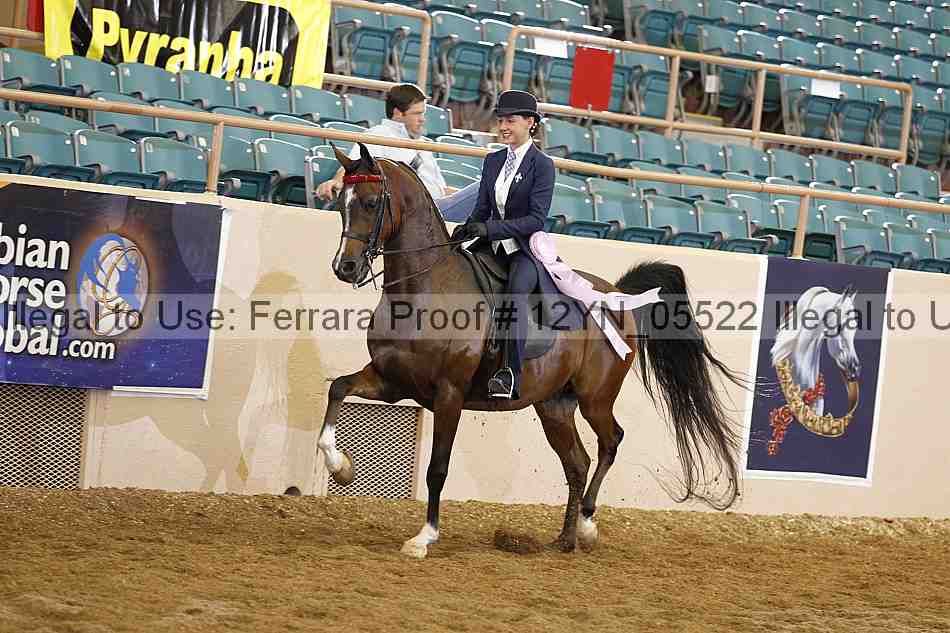 Proof 12yn_05522