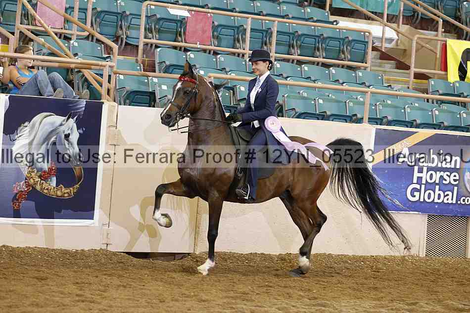 Proof 12yn_05523