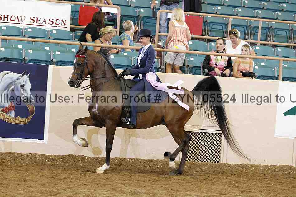 Proof 12yn_05524