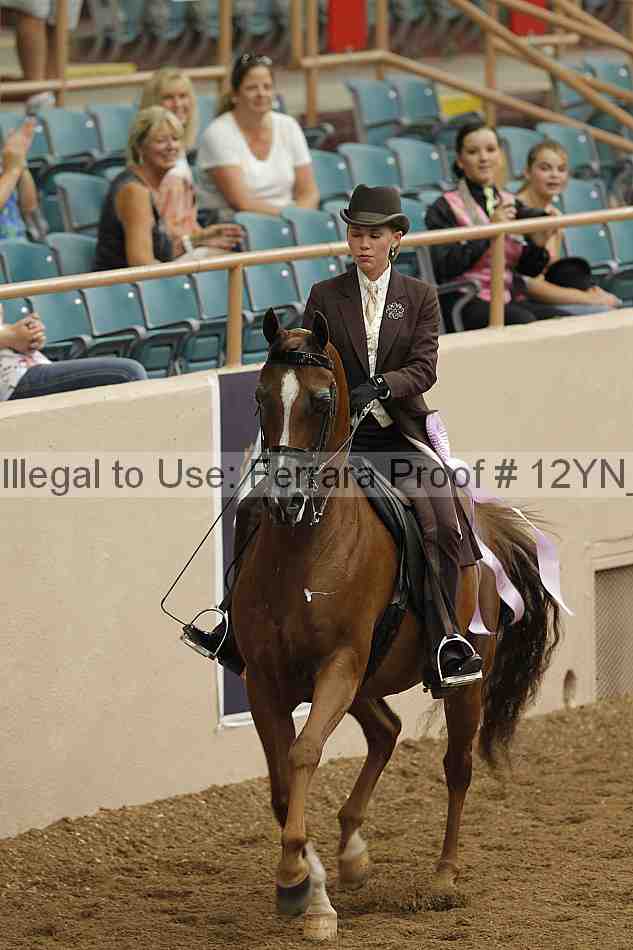 Proof 12yn_05527