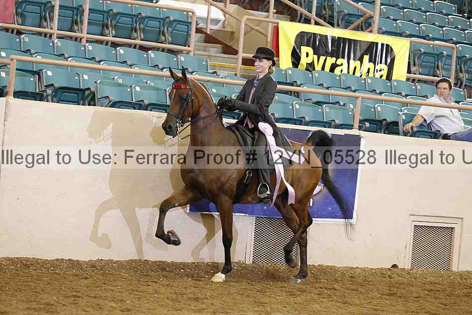 Proof 12yn_05528
