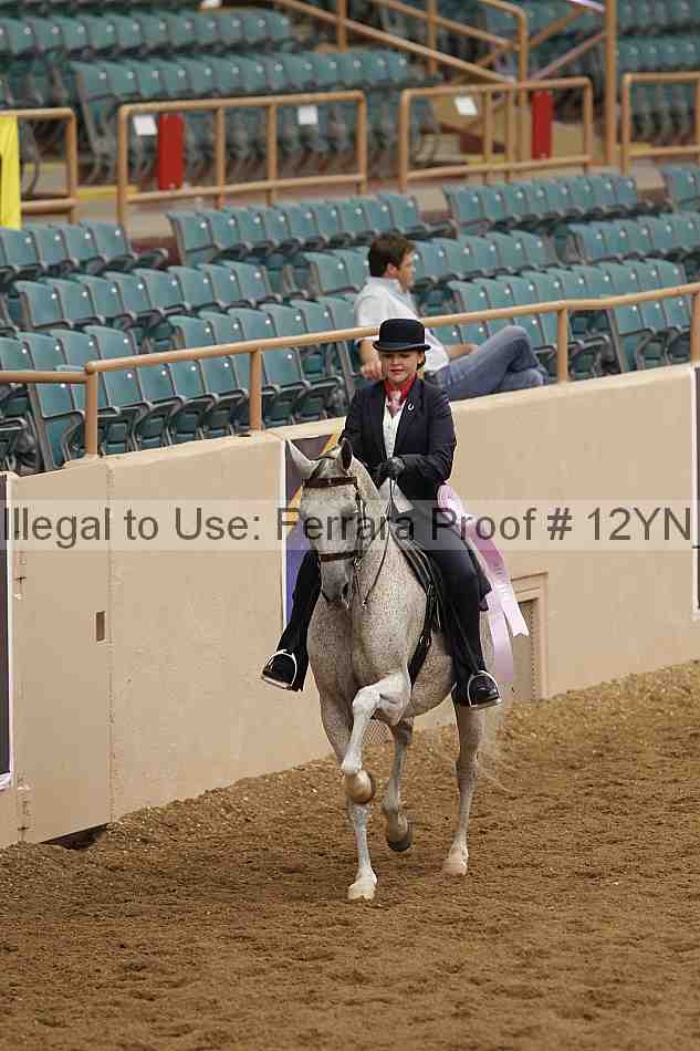 Proof 12yn_05531