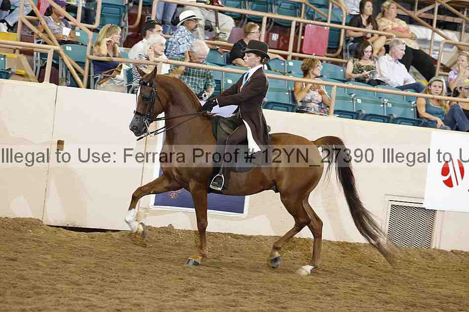 Proof 12yn_27390