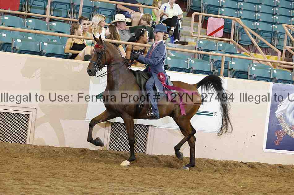 Proof 12yn_27494