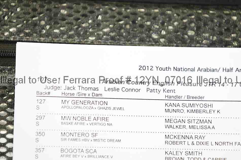 Proof 12yn_07016