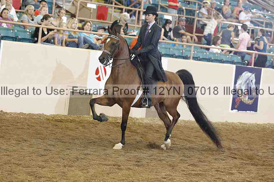 Proof 12yn_07018