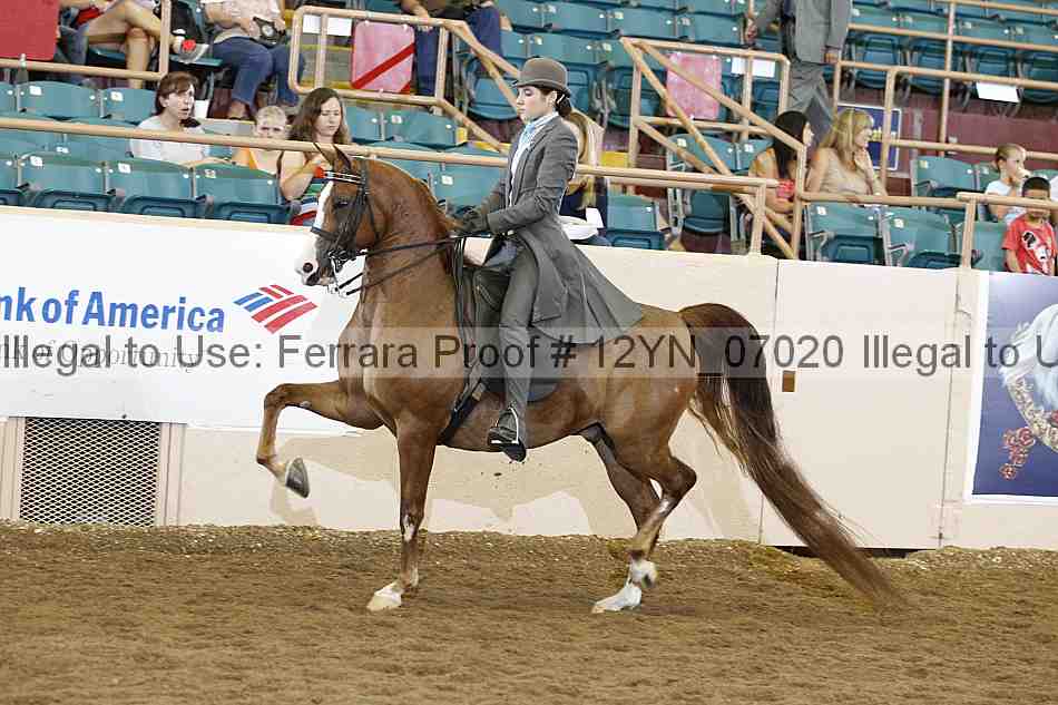 Proof 12yn_07020