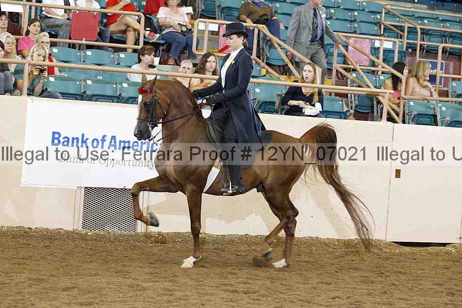 Proof 12yn_07021