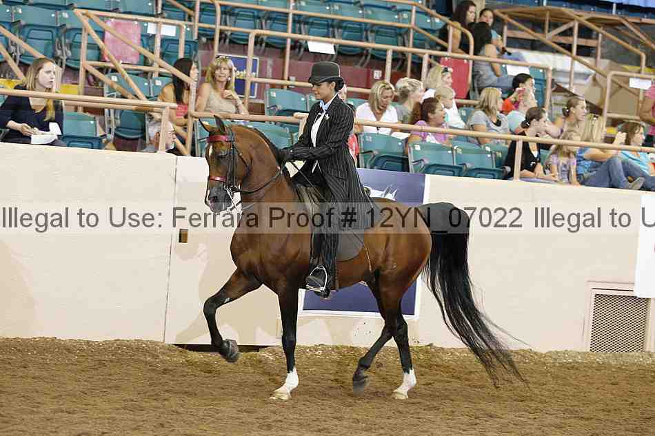Proof 12yn_07022