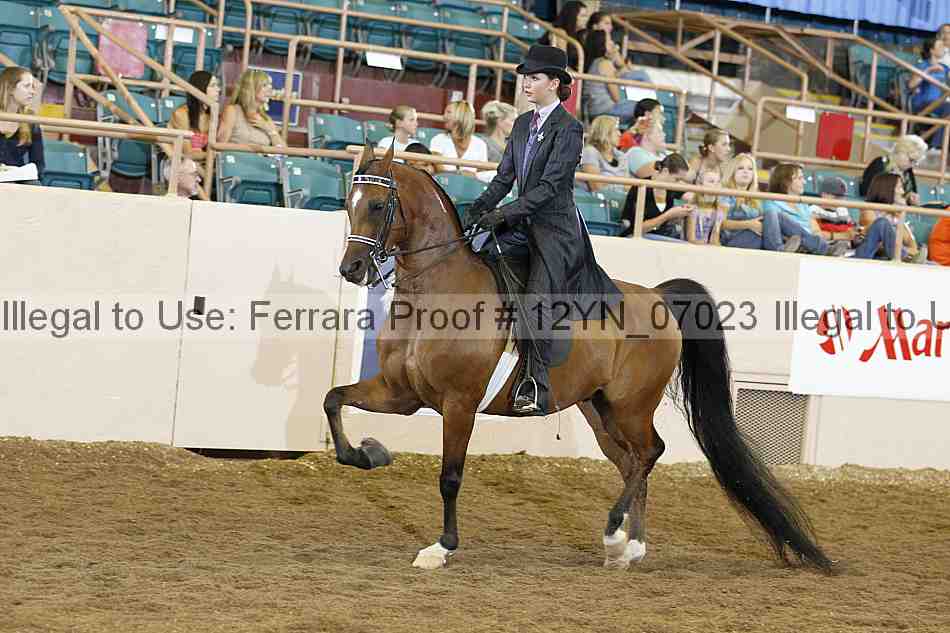 Proof 12yn_07023