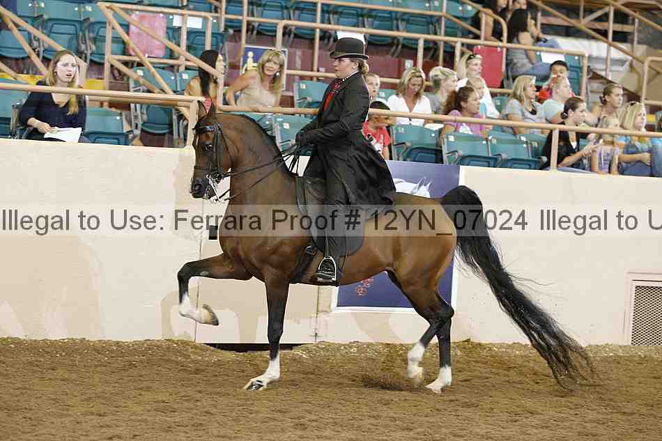 Proof 12yn_07024