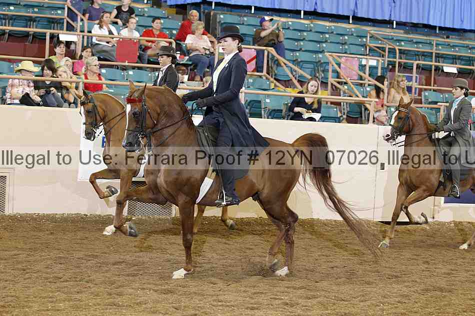 Proof 12yn_07026