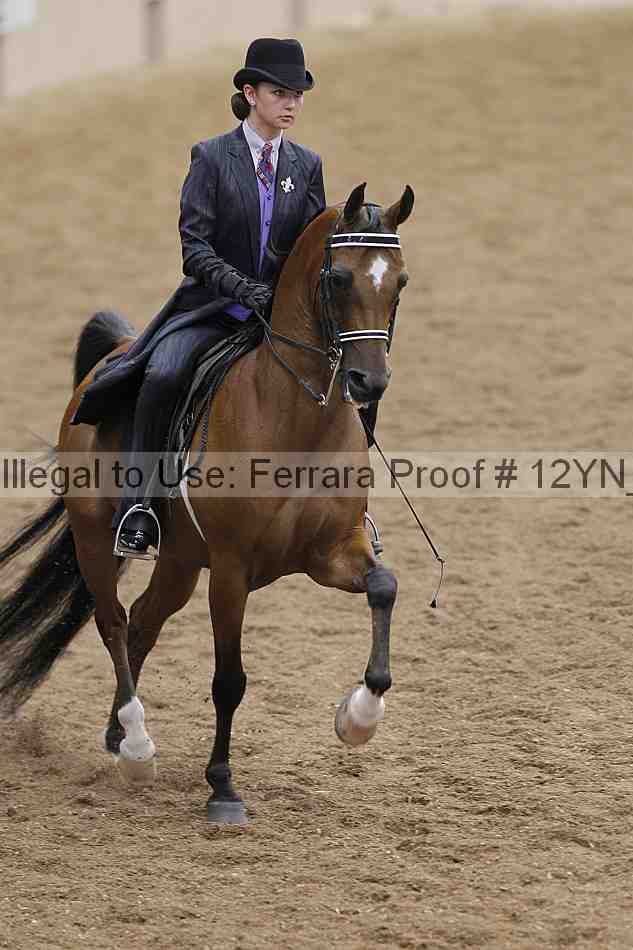 Proof 12yn_07027