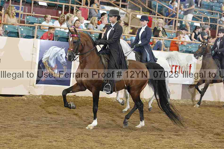 Proof 12yn_07028