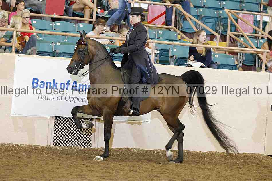 Proof 12yn_07029