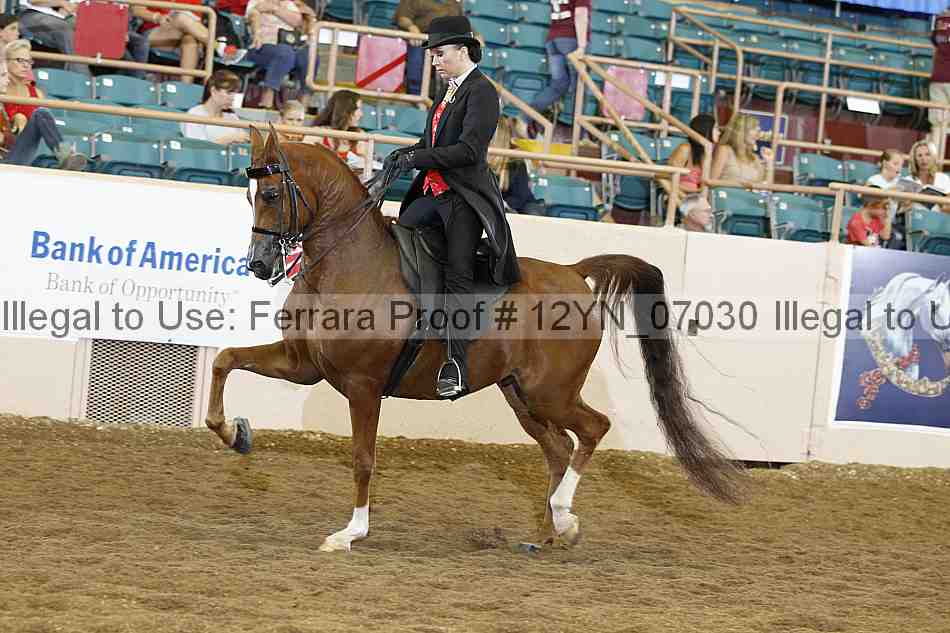 Proof 12yn_07030