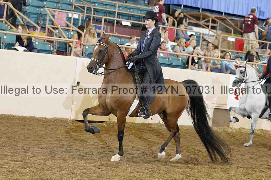 Proof 12yn_07031