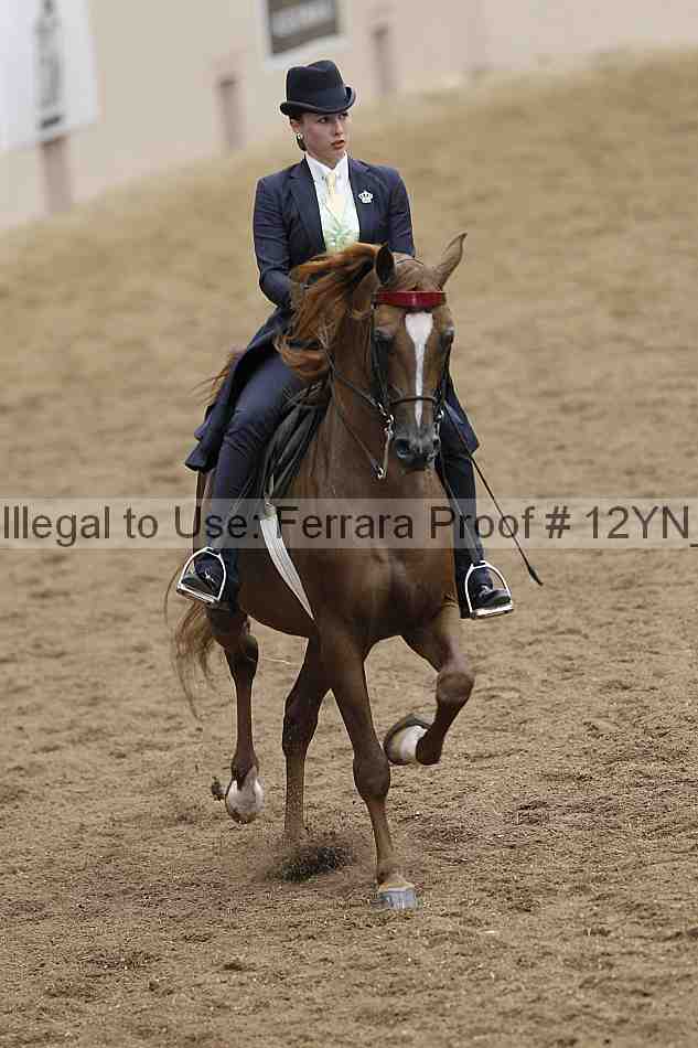Proof 12yn_07033