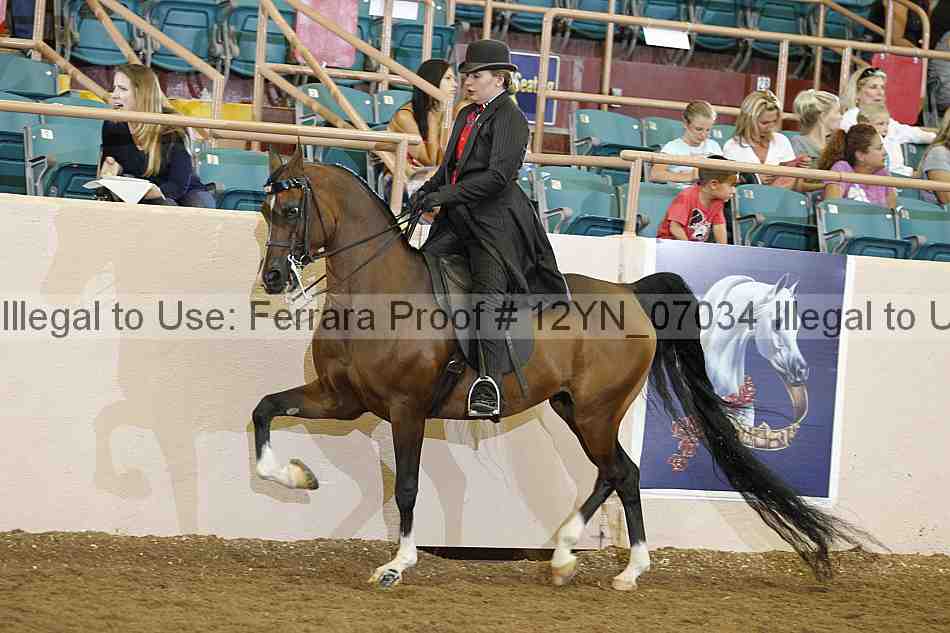 Proof 12yn_07034